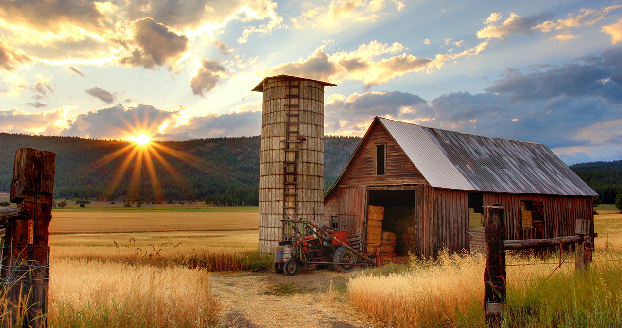 Old barn and silo